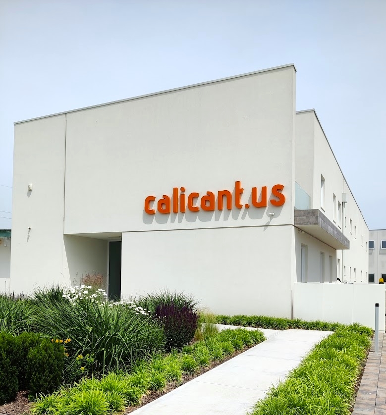 BOOM DI ACQUISTI ONLINE IN OCCASIONE DEL BLACK FRIDAY 2023: LE STIME DI CALICANTUS