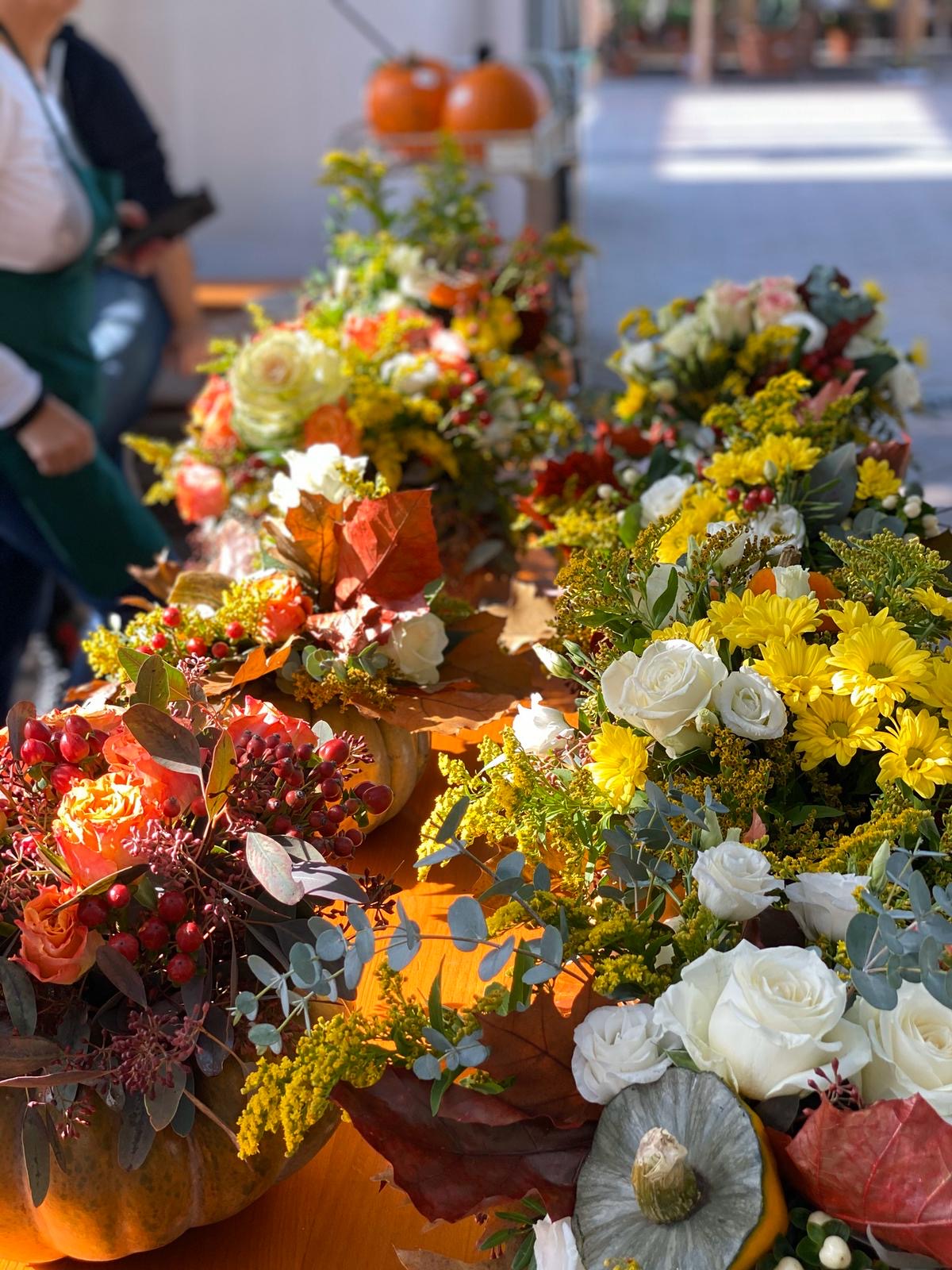 È tornato da Steflor il Garden Festival d'Autunno