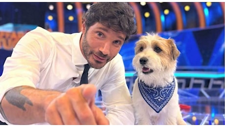 Affari Tuoi, Alessio accetta 22mila euro: nel pacco nero c'erano solo 50 euro