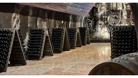 Vino veronese in calo, le esportazioni rischiano una frenata da 260 milioni