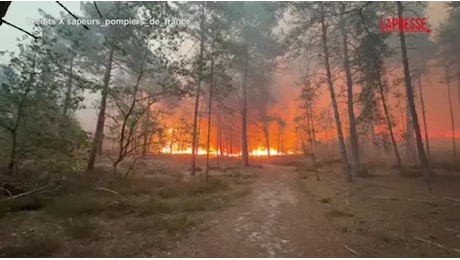 Brucia ancora la foresta di Fontainebleau: le fiamme hanno già bruciato 800 ettari di terra