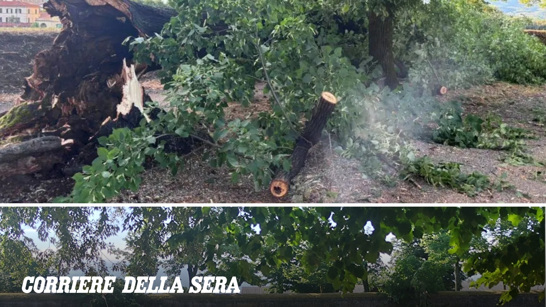 Maltempo in Toscana: vento, temporali e 4.600 fulmini tra Lucca e Pisa. Alberi e pezzi di muro caduti, diverse zone al buio, disagi anche in Versilia