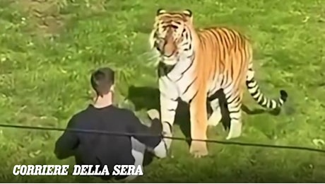 Trump rilancia il video della tigre e la famiglia di Chapman chiede rispetto