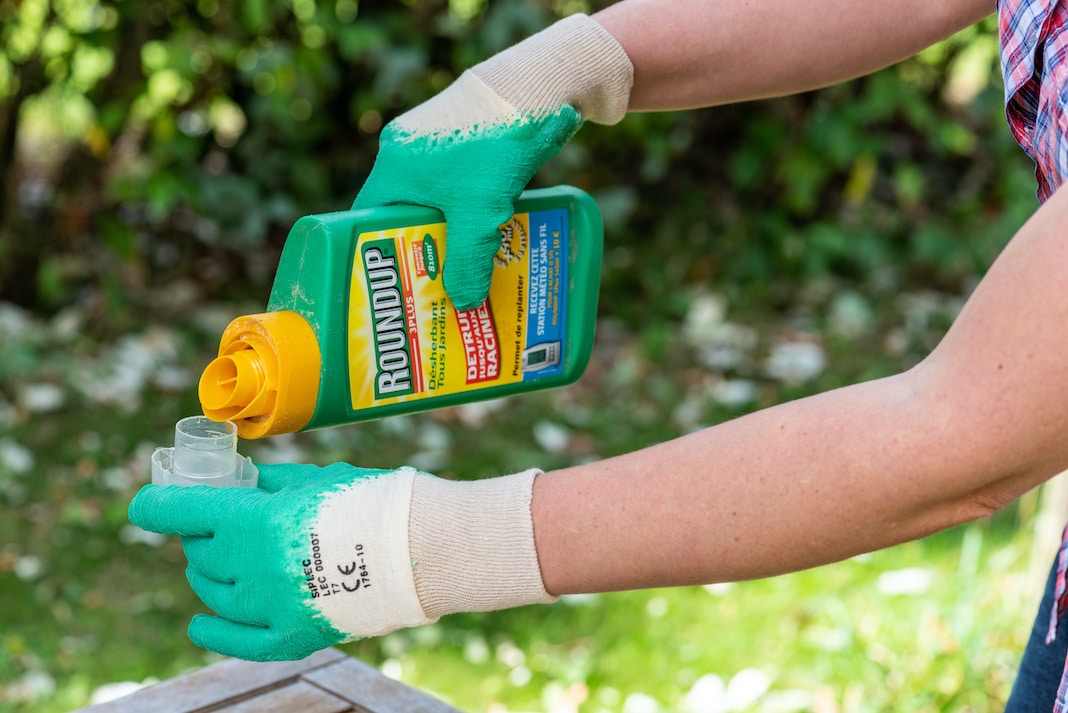 Glifosato: la Corte Usa salva Monsanto-Bayer dalle cause dei consumatori