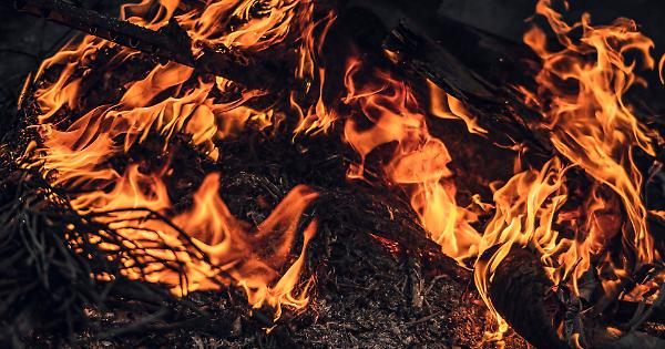 Piemonte in fiamme: persi 700 mila alberi. Per riavere i nostri boschi serviranno 70 anni