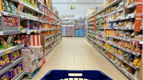 Alimenti ultraprocessati, il Policy Brief chiede più evidenze