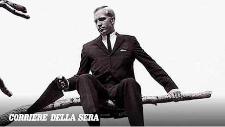 La pace irrisa, la legge degli stupidi
