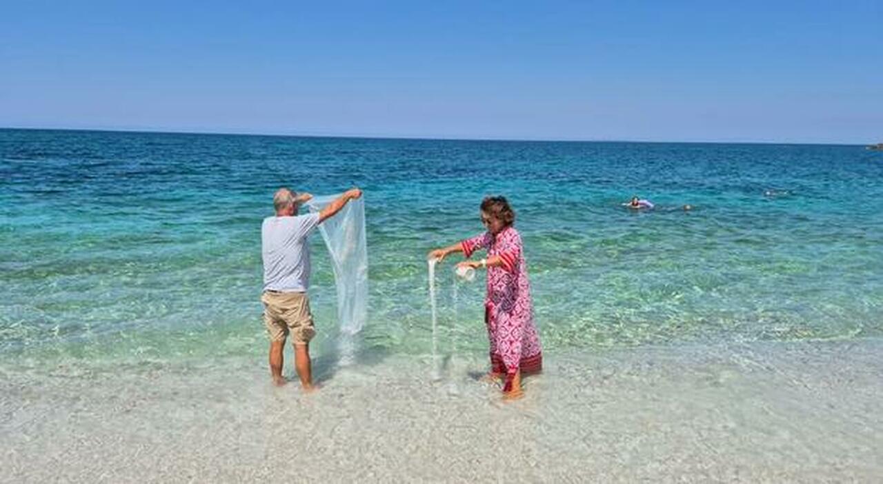 Riporta in Sardegna la sabbia rubata: «Era l’ultimo desiderio di mia madre»