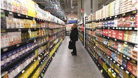 Richiami alimentari, ritirati vitello tonnato Eurospin e tramezzini Coop: i lotti da controllare
