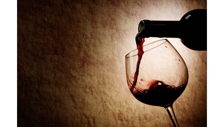 L'Oltrepò Pavese spinge l'export del vino di Pavia: crescita sei volte superiore alla media italiana