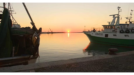 San Benedetto del Tronto, la ripartenza della marineria dura solo 24 ore: il caro gasolio frena le uscite