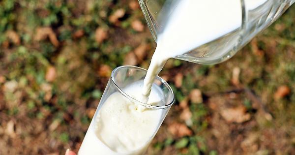 Crisi del latte, c'è l'accordo sul prezzo: cosa cambia per gli allevatori piemontesi