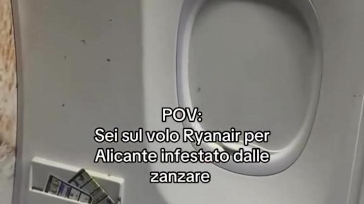 Aereo Ryanair invaso dalle zanzare: passeggeri costretti a scendere - La Stampa