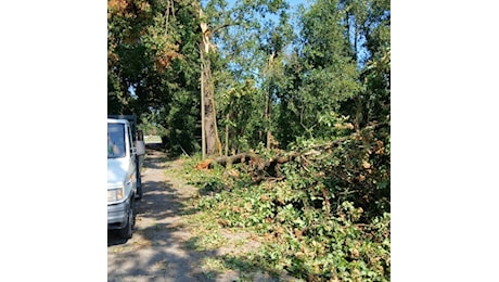 Maltempo: a Reggio città restano chiusi 23 parchi, strade e cimiteri riaperti