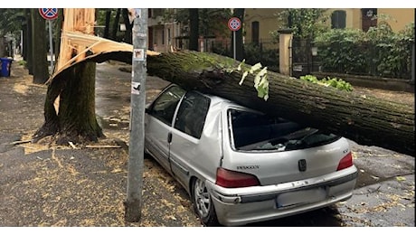 Maltempo a Parma, alberi caduti e sottopassi allagati: la tempesta di luglio in foto e video