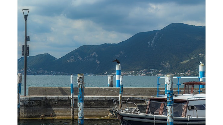 Si tuffa nel lago d'Iseo e non riemerge: 19enne muore annegato davanti agli amici. Il caso nel Bresciano - Open