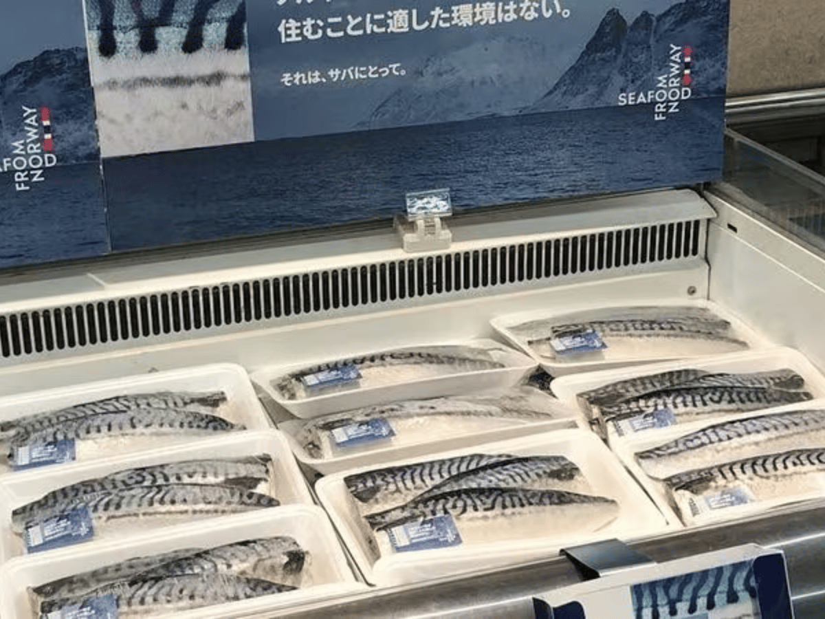 Norvegia, l’export ittico tiene ma il mercato cambia rotta
