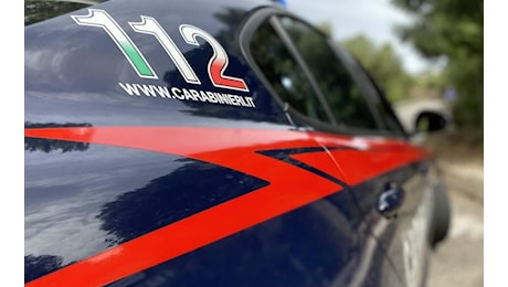 Tragedia in Valtellina: bambino di un anno travolto e ucciso da un pick-up durante la raccolta del fieno
