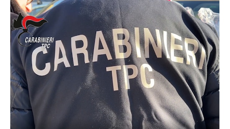 Maxi operazione contro trafficanti di reperti archeologici, 56 arresti tra Sicilia e Calabria - quicosenza