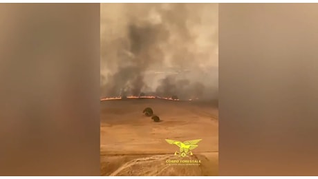 Emergenza incendi Sardegna, centinaia di ettari in fumo e Canadair in volo