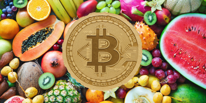 Crolla il prezzo della frutta. La presa in giro dei giornali ci ricorda perché Bitcoin vale qualunque sforzo