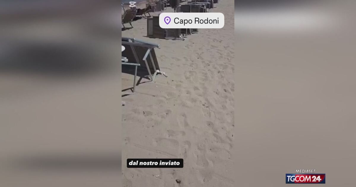 Tgcom24: I lettini rubati da Reggio Emilia... ritrovati in Albania Video