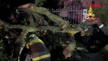Maltempo, alberi caduti e allagamenti nella provincia di Ancona