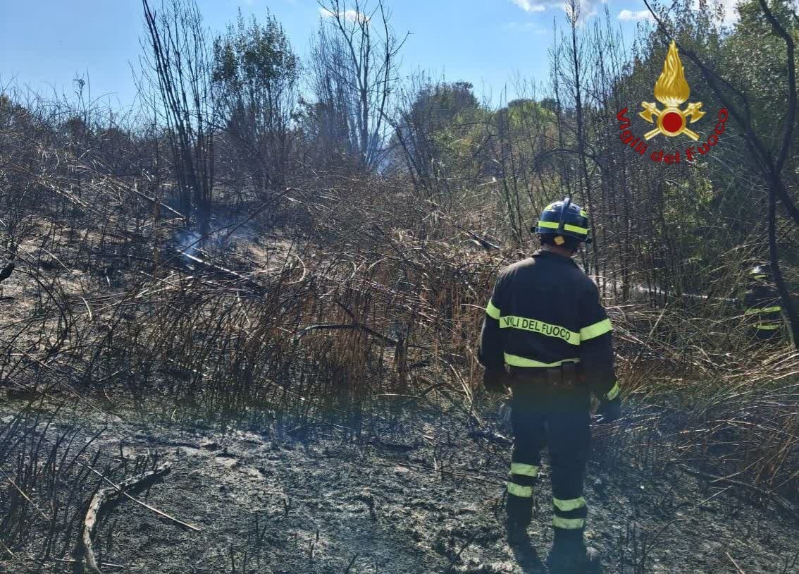 Roghi da Pineta Sacchetti alla periferia est: la situazione e gli incendi a Roma oggi
