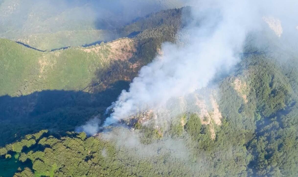 Incendio nel Mugello, distrutti 15 ettari di bosco: in azione elicotteri per spegnere le fiamme