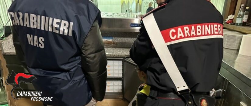 Ristorante e caseificio da incubo, scattano i controlli del Nas: attività sospese, sanzioni e cibo sequestrato
