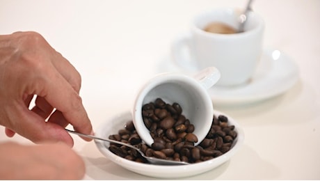 L'era delle capsule è finita: Lavazza e il nuovo volto del caffè italiano