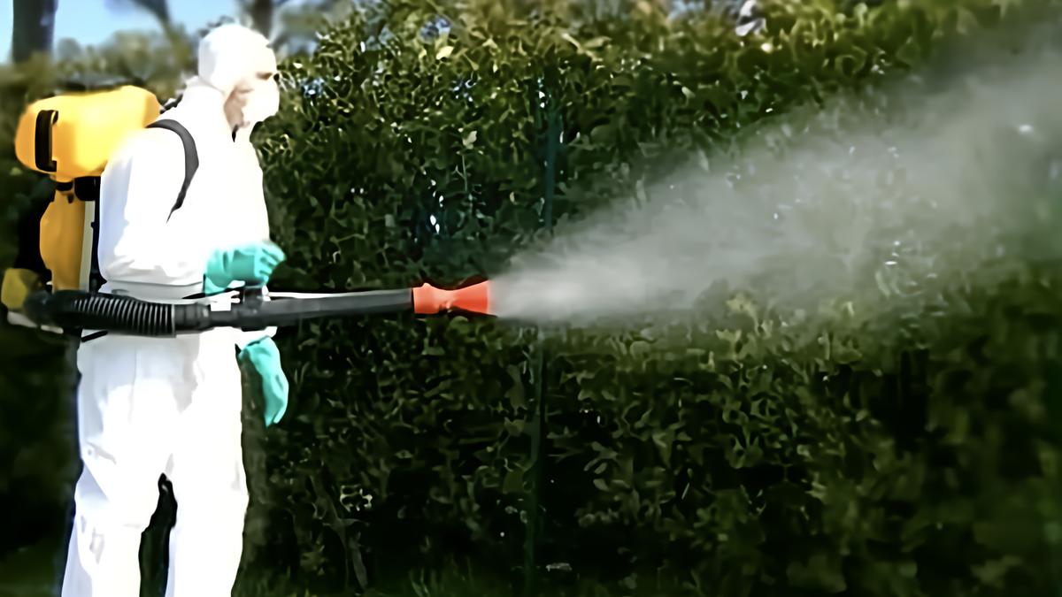 Virus Chikungunya: nessun caso a Livorno e Massa, disinfestazioni annullate