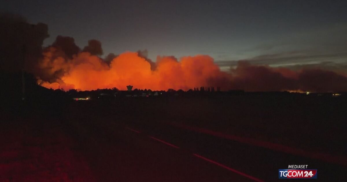 Tgcom24: Caldo estremo in tutta Europa, un incendio devasta la foresta di Fontainebleau in Francia Video