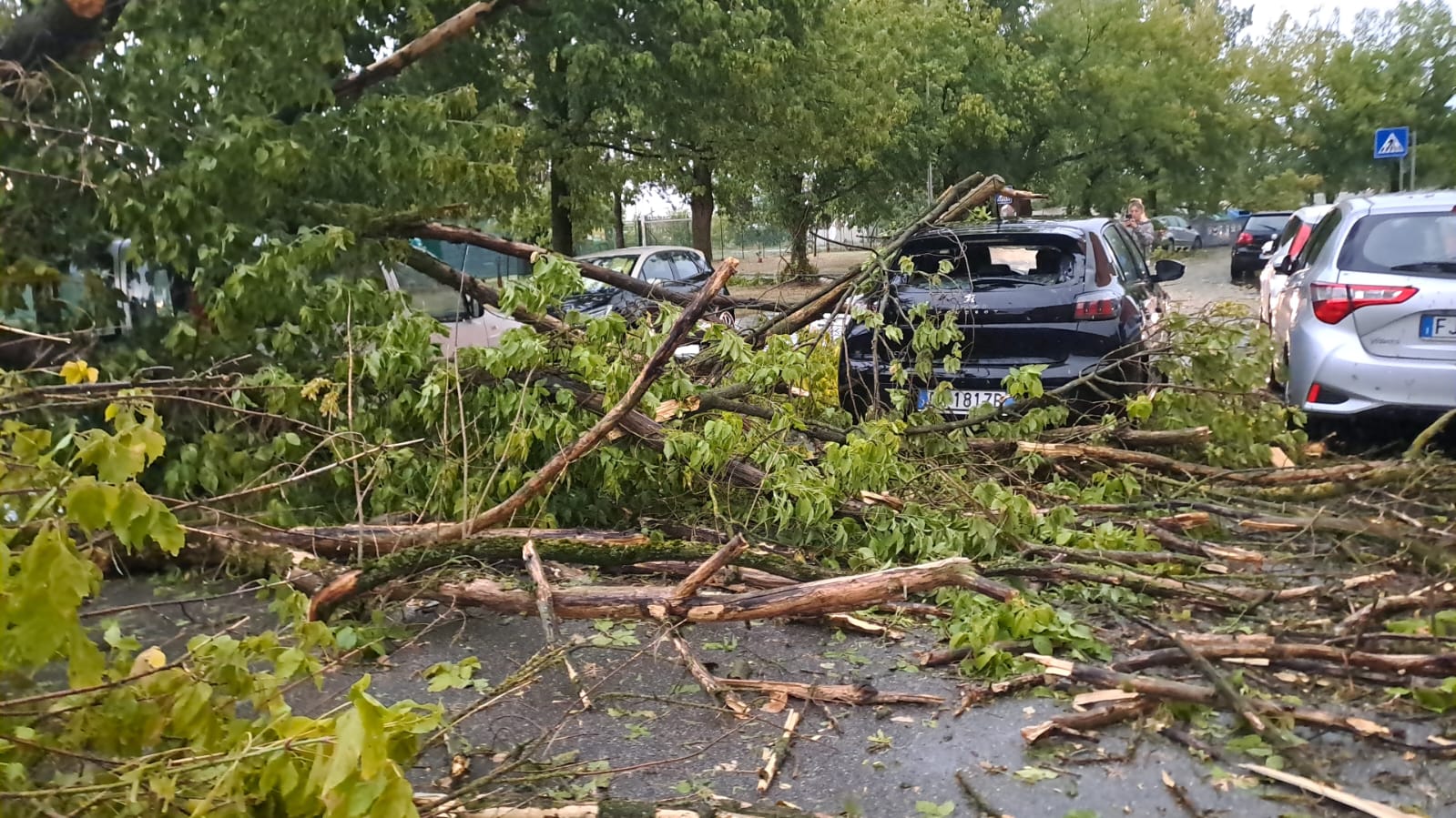 Nuova allerta per temporali nel Ferrarese, attenzione alta dopo gli ultimi nubifragi