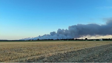 Incendio di portata eccezionale nella foresta di Fontainebleau a sud di Parigi, evacuati residenti
