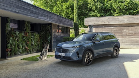 Peugeot E-5008 Dog Edition: il concept che rivoluziona l’abitacolo per i cani