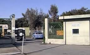 Turtoro (Azione Identitaria Calabria) su operazione Johny: finalmente inizia ad emergere il marcio del fenomeno immigratorio.
